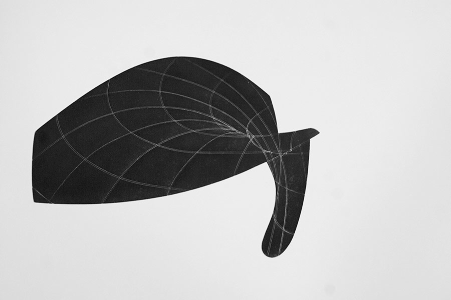 Blanca Muñoz: Secciones VIII